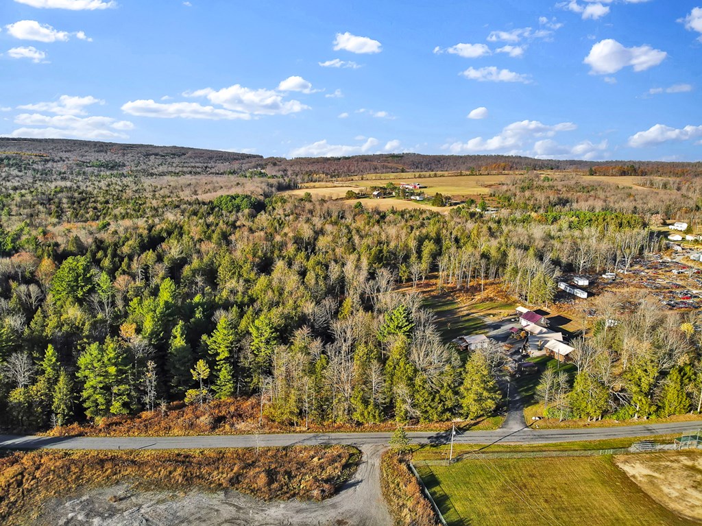 1597 Beutertown Road