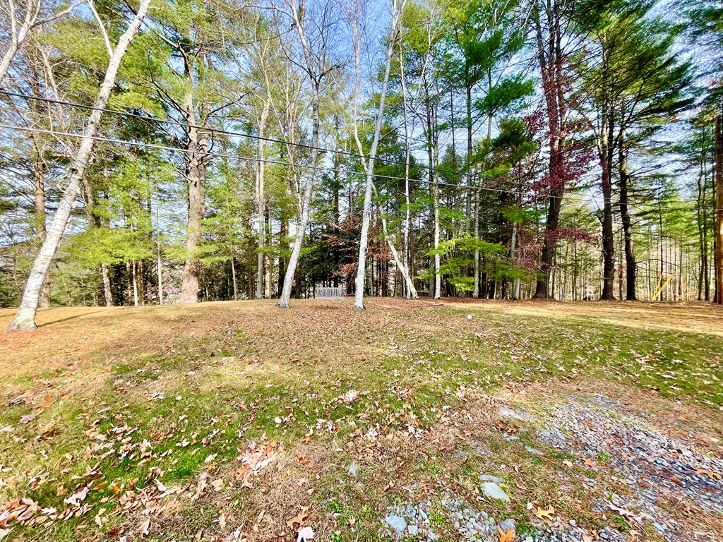 311 Painter Run Road