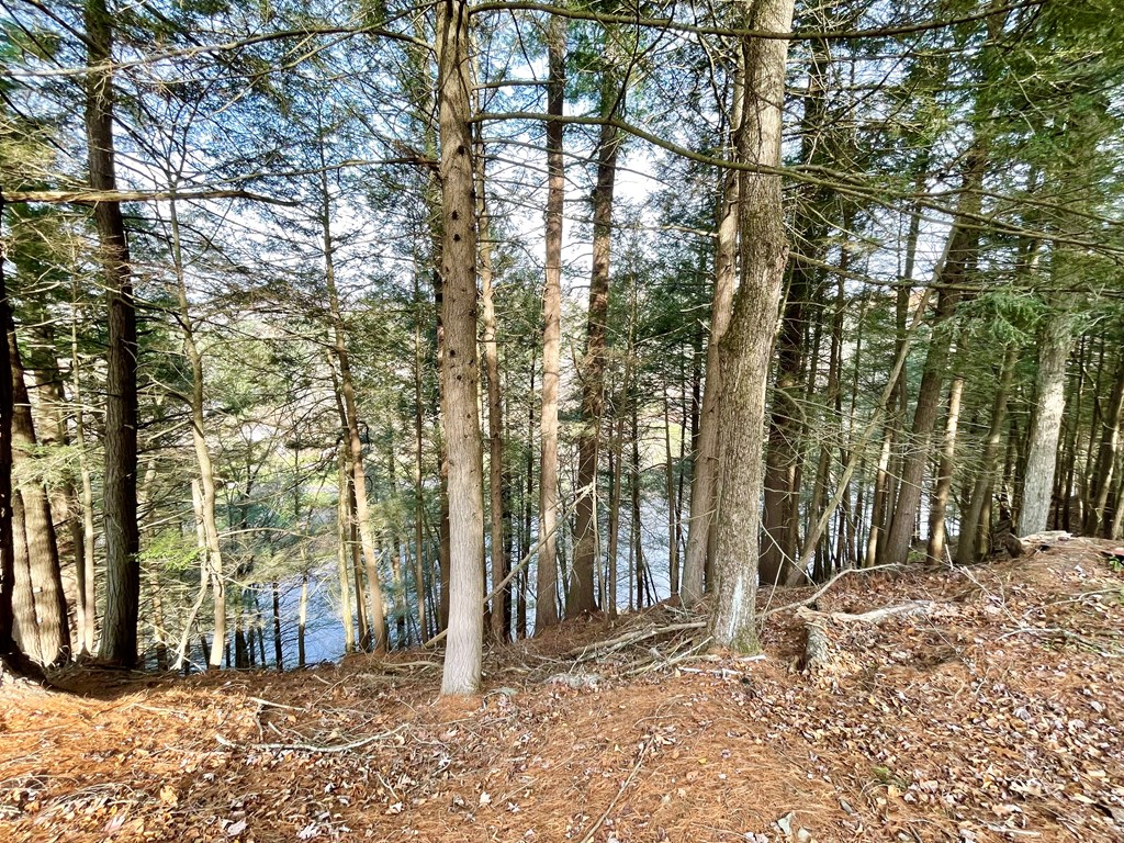 311 Painter Run Road