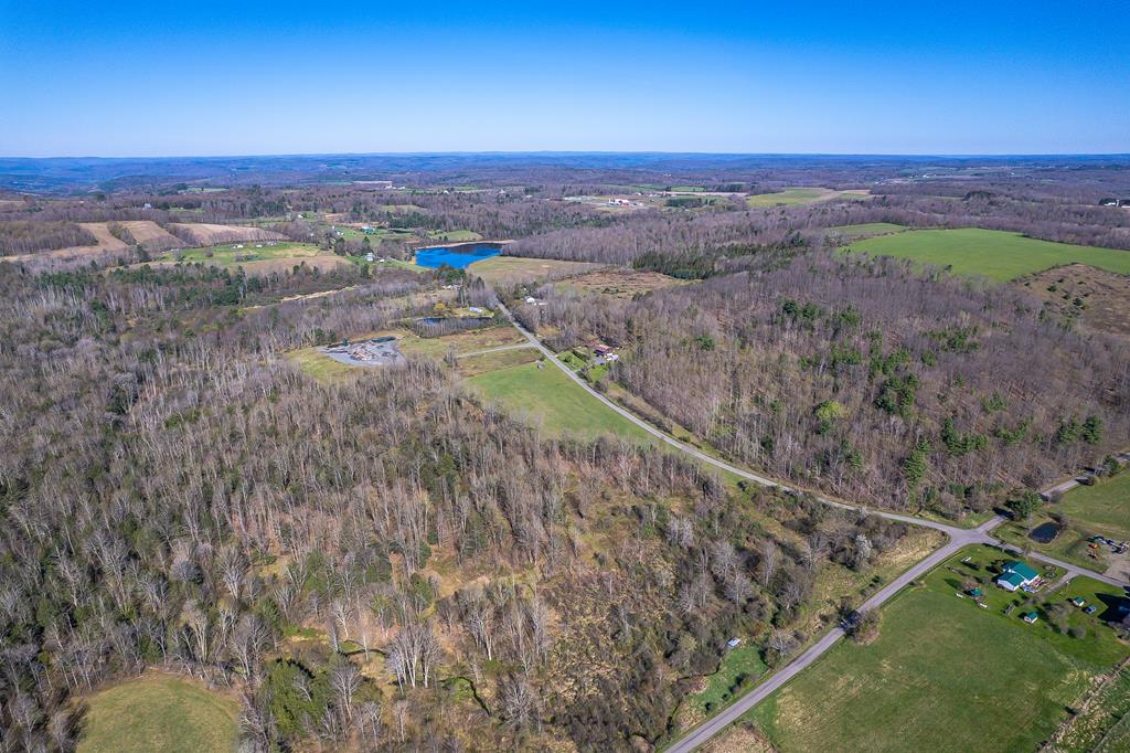 521 Skyline Drive