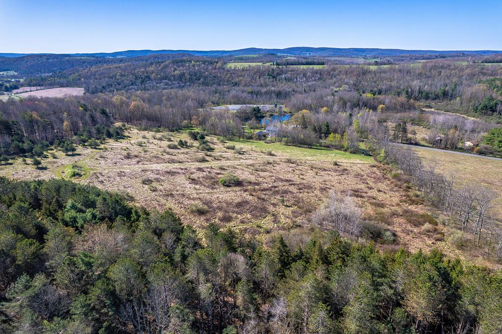 521 Skyline Drive
