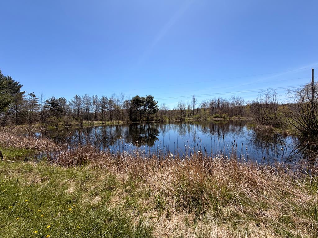 521 Skyline Drive