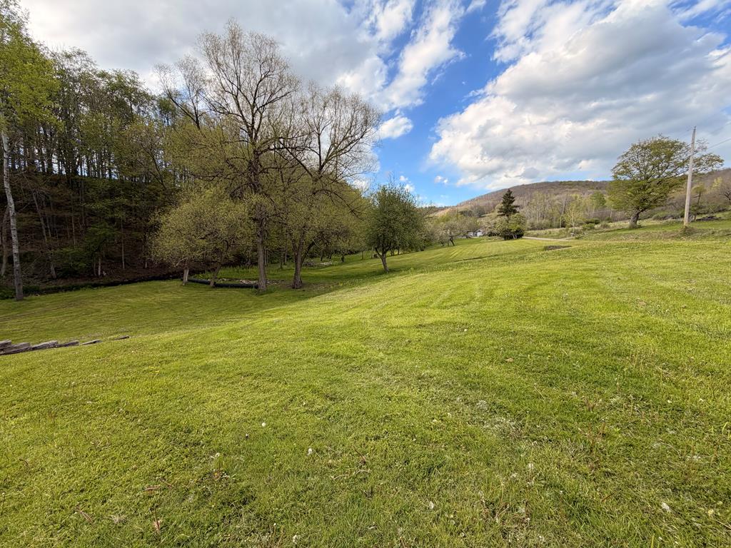 291 Harrison Fox Hill Road