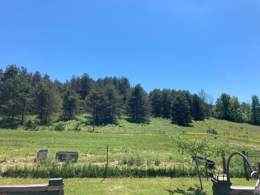 82 Elkhorn Road
