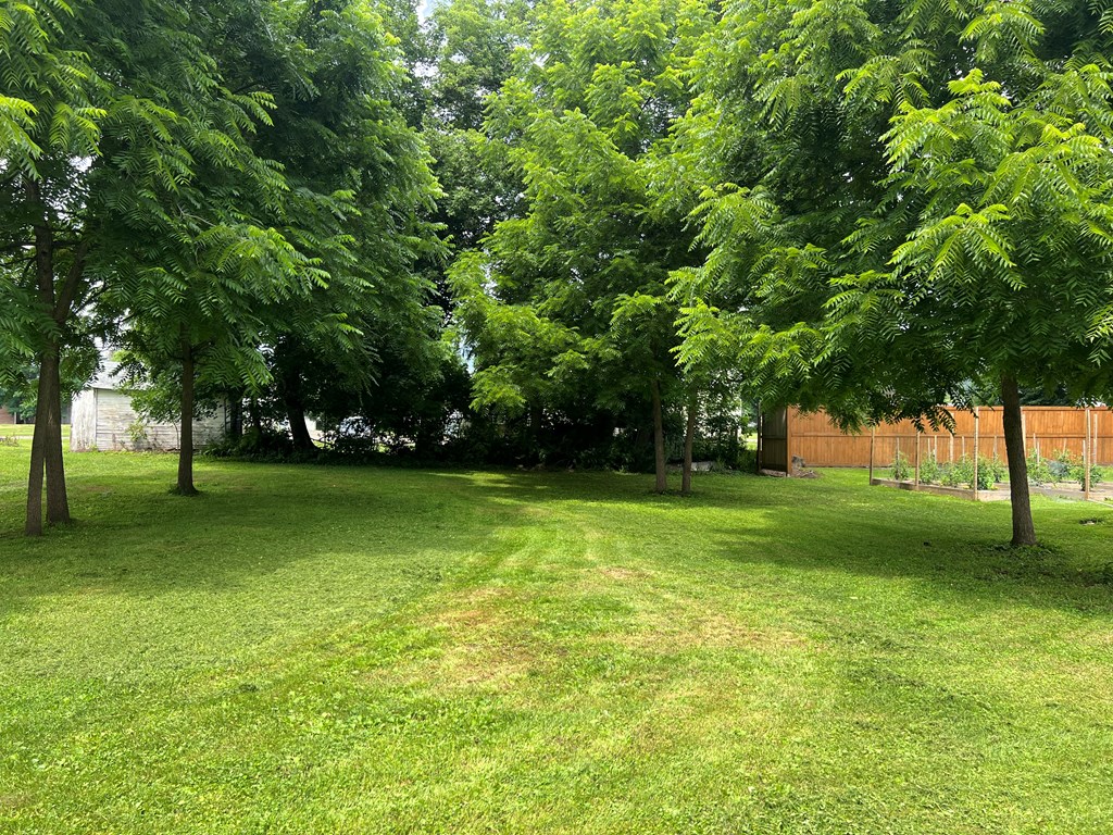 117 Proctor Ave.