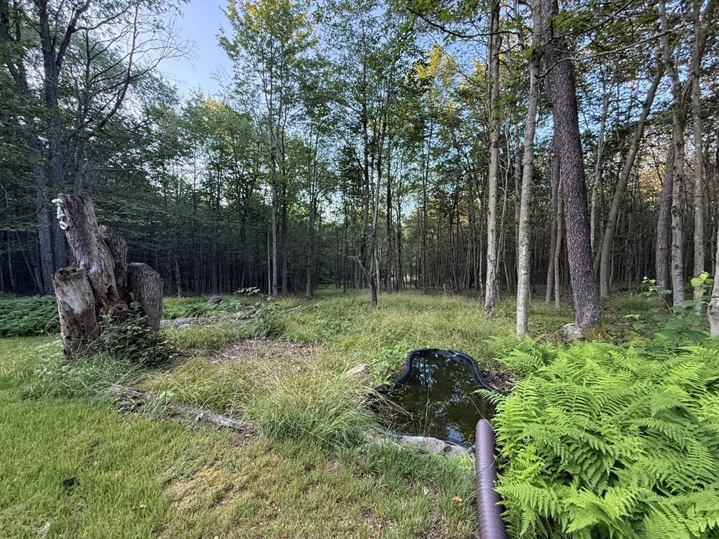 141 Coyote Lane