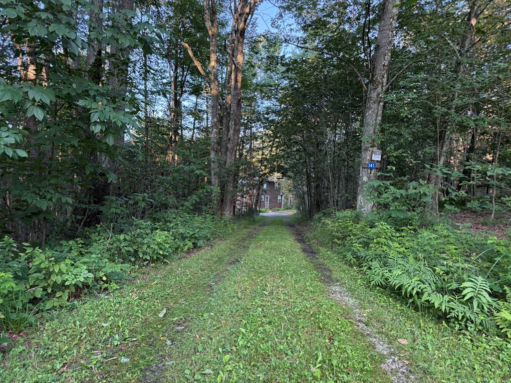 141 Coyote Lane