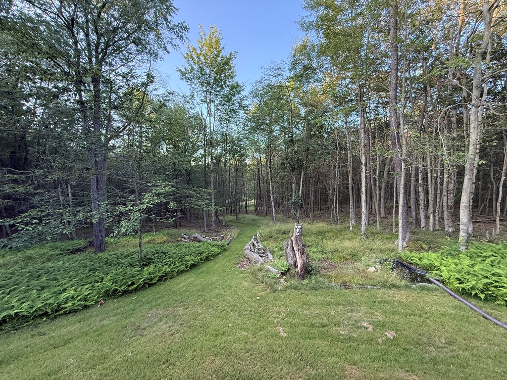 141 Coyote Lane
