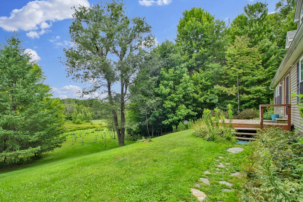 3539 Norris Brook Road