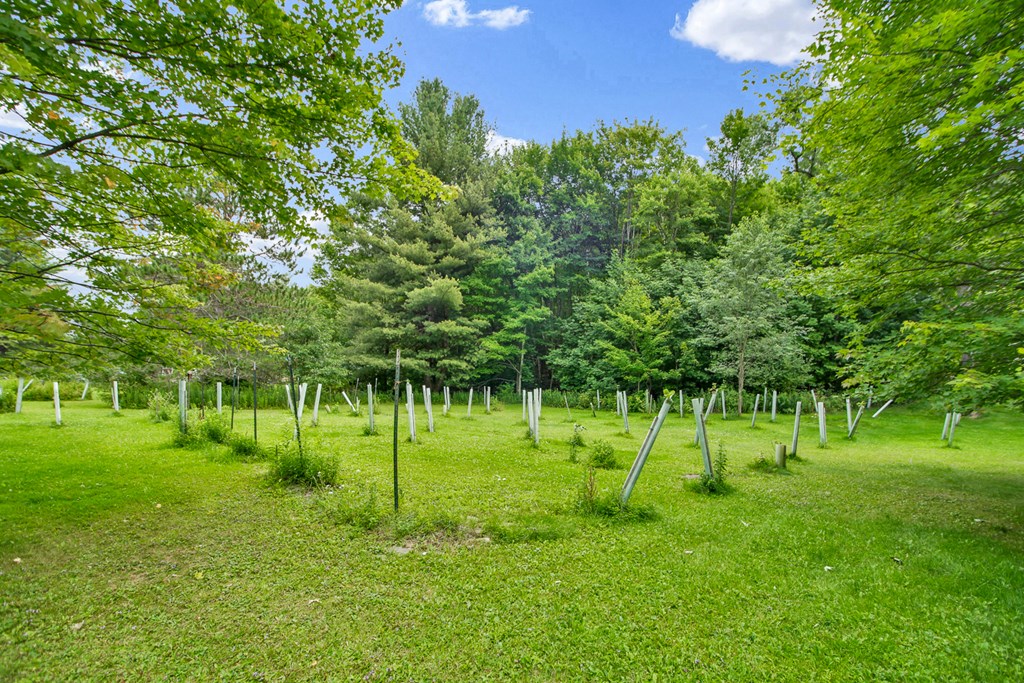 3539 Norris Brook Road