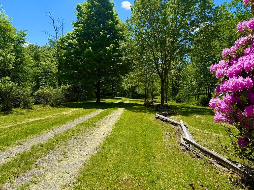 Middlebury Center