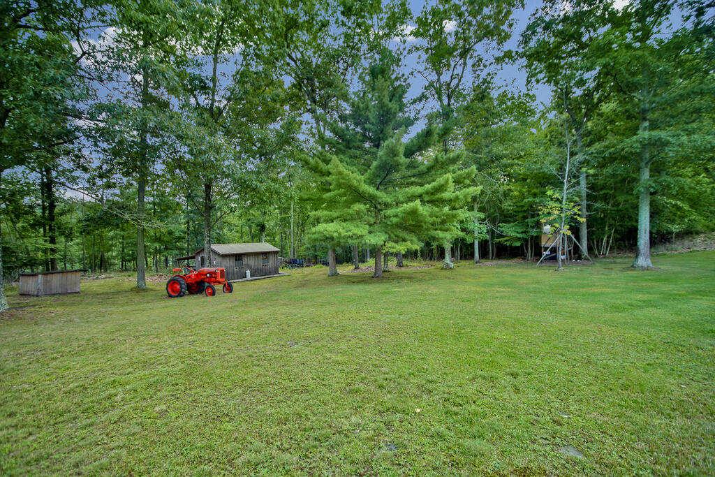 394 Hickory Lane