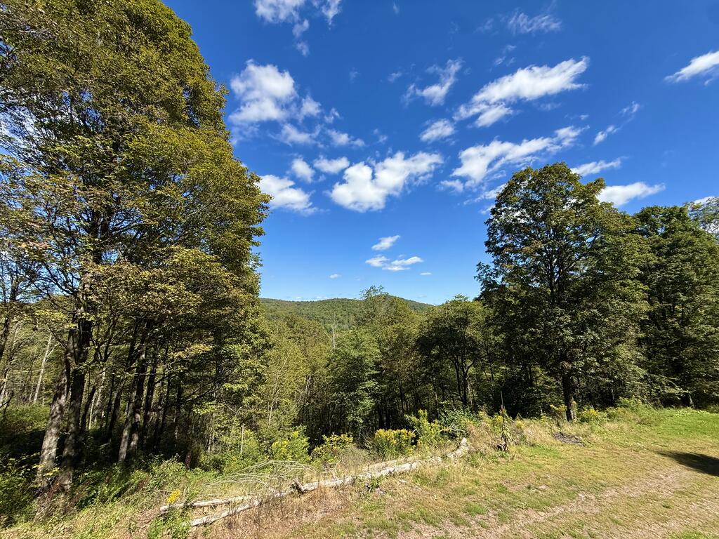 225 Porky Pine Trail