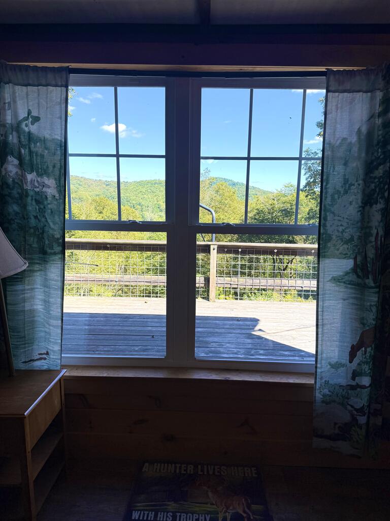 225 Porky Pine Trail