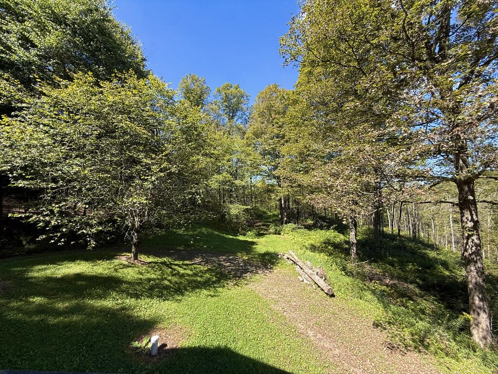 225 Porky Pine Trail