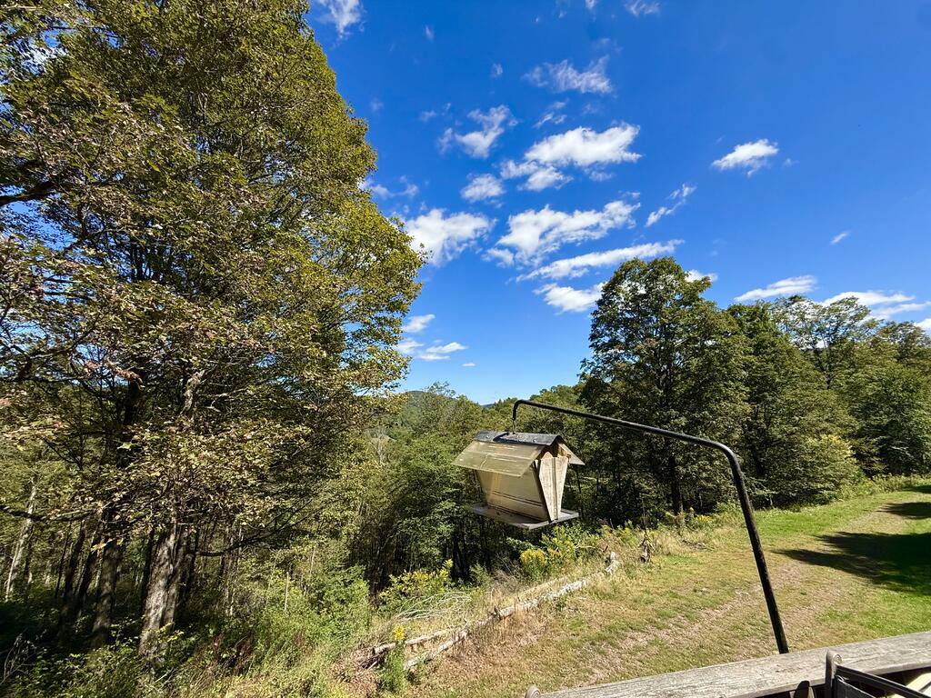 225 Porky Pine Trail