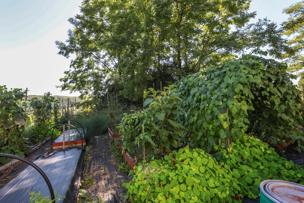 296 Morral Road