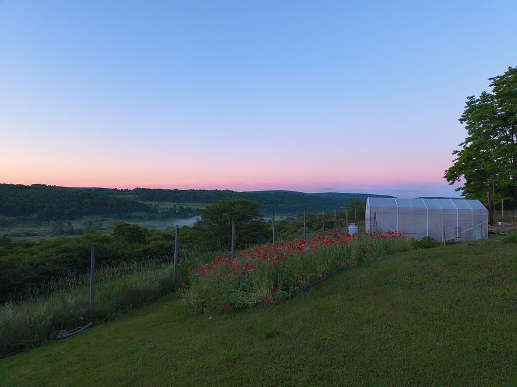 296 Morral Road