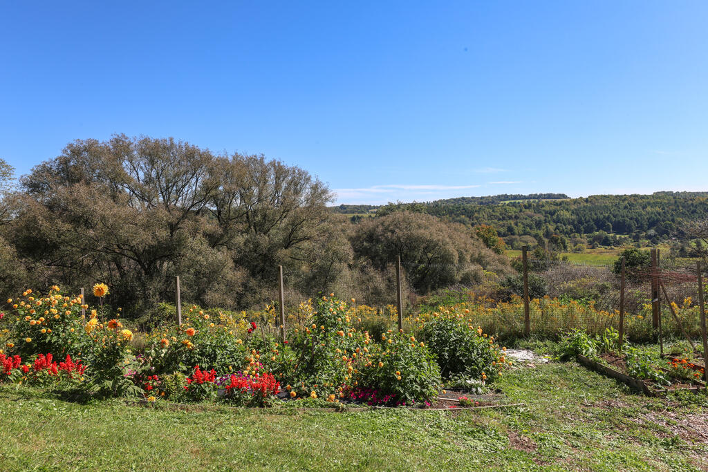 296 Morral Road
