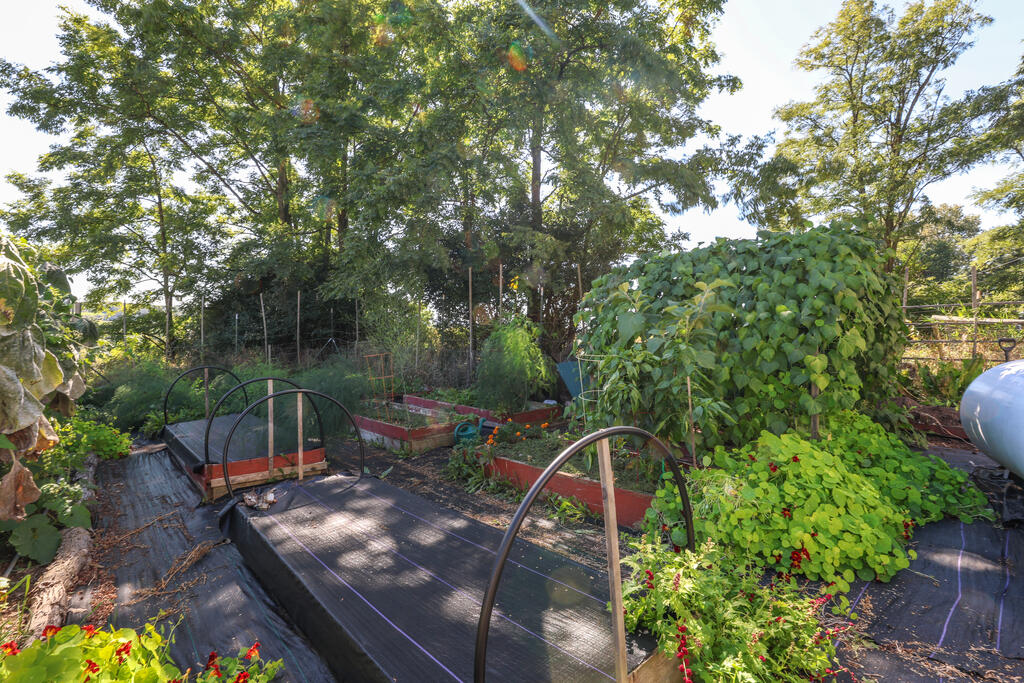 296 Morral Road
