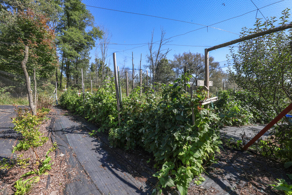 296 Morral Road