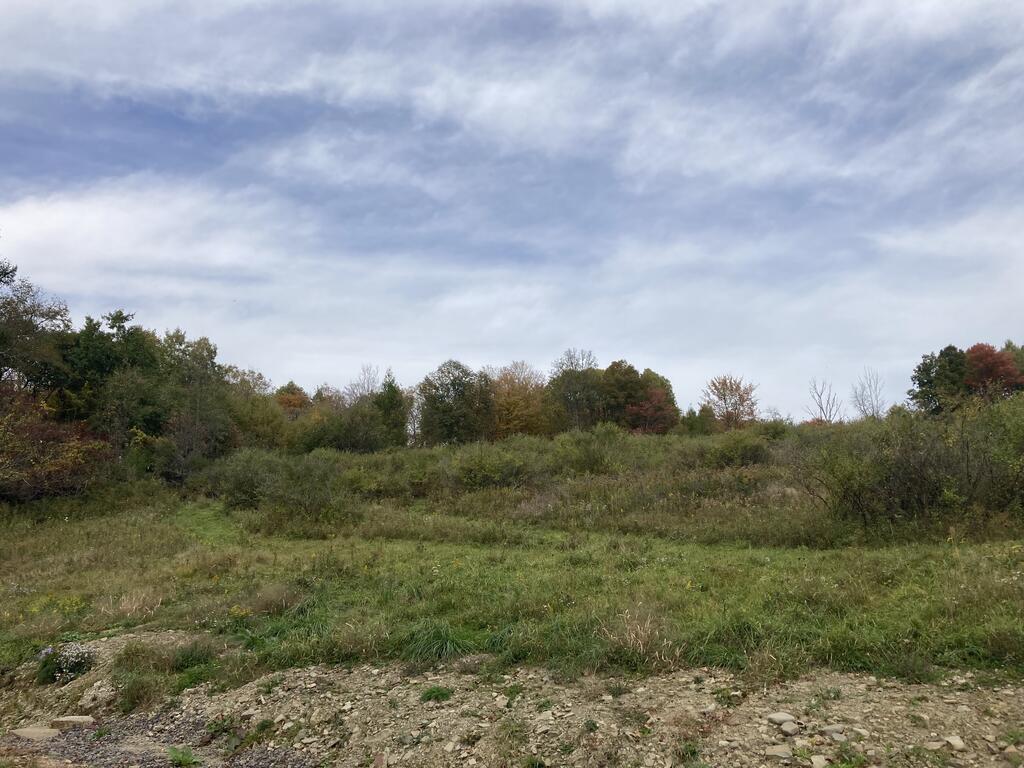 0 Locey Creek Road