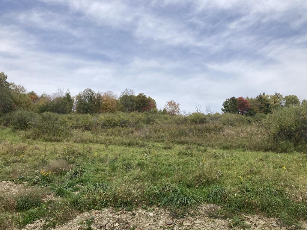 0 Locey Creek Road