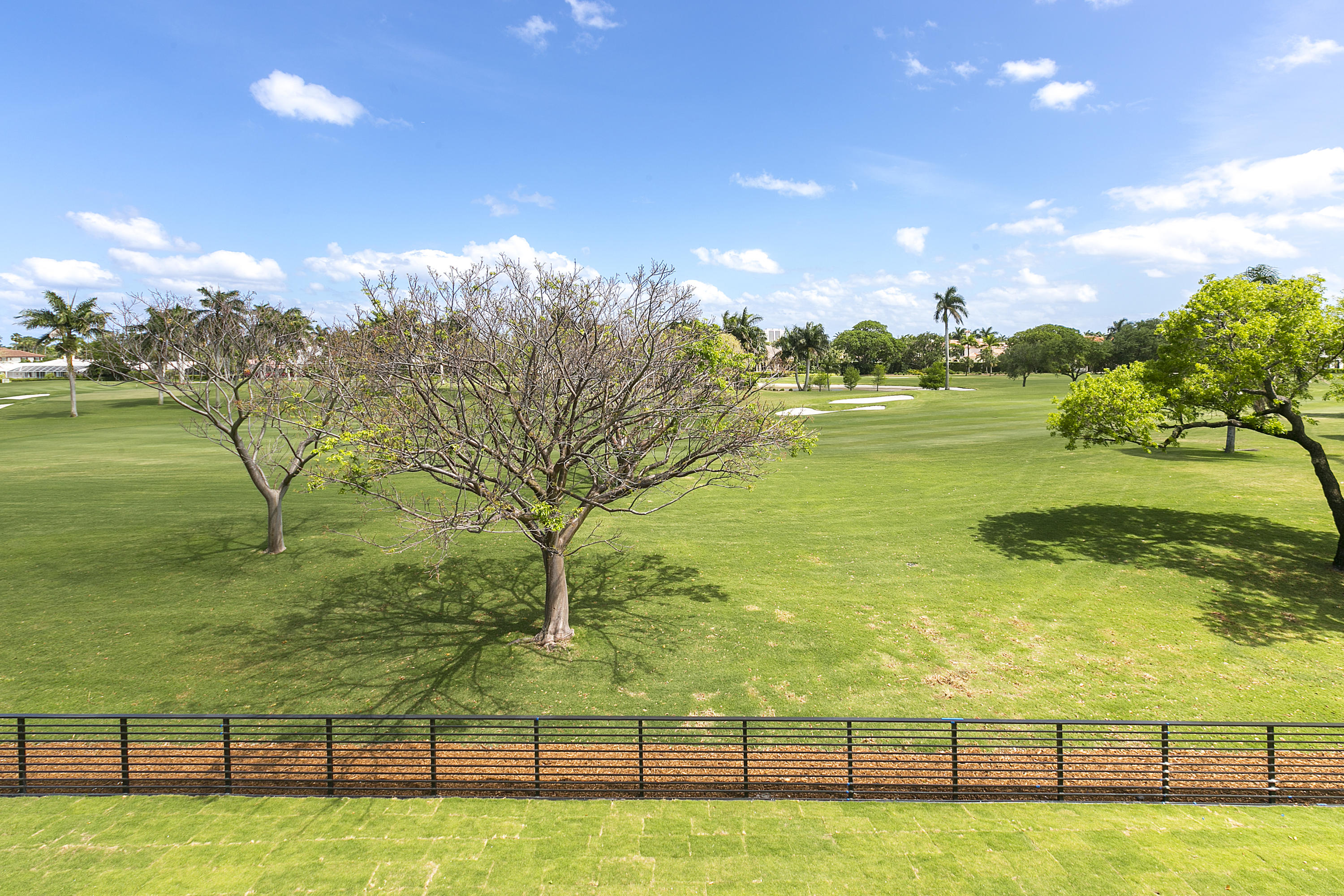 1744 Thatch Palm Drive