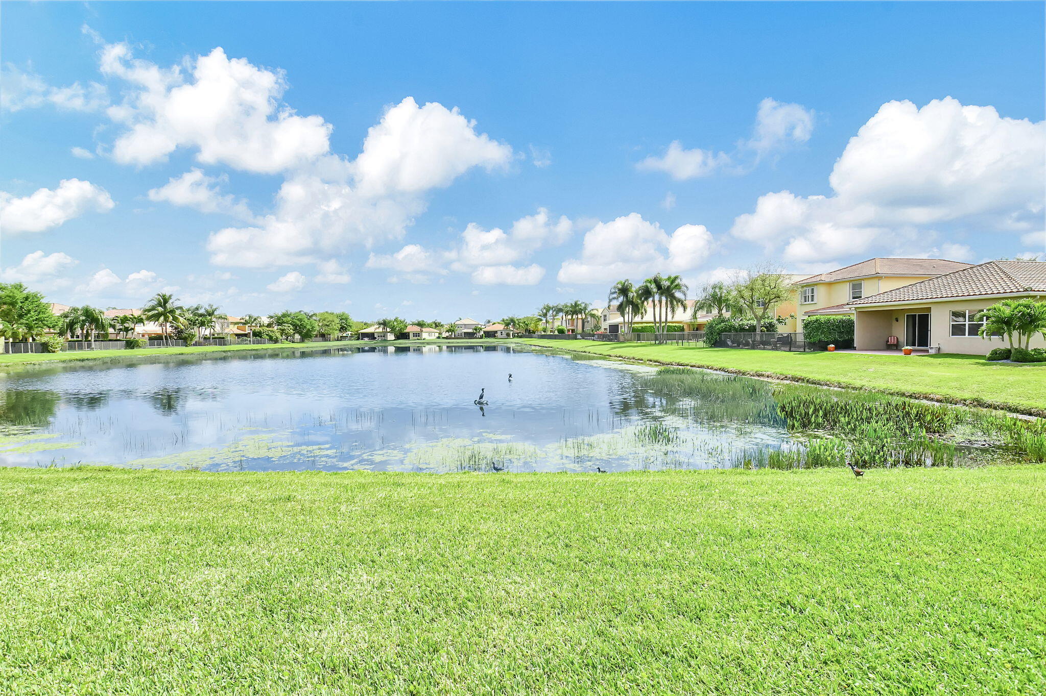 11584 Rock Lake Terrace