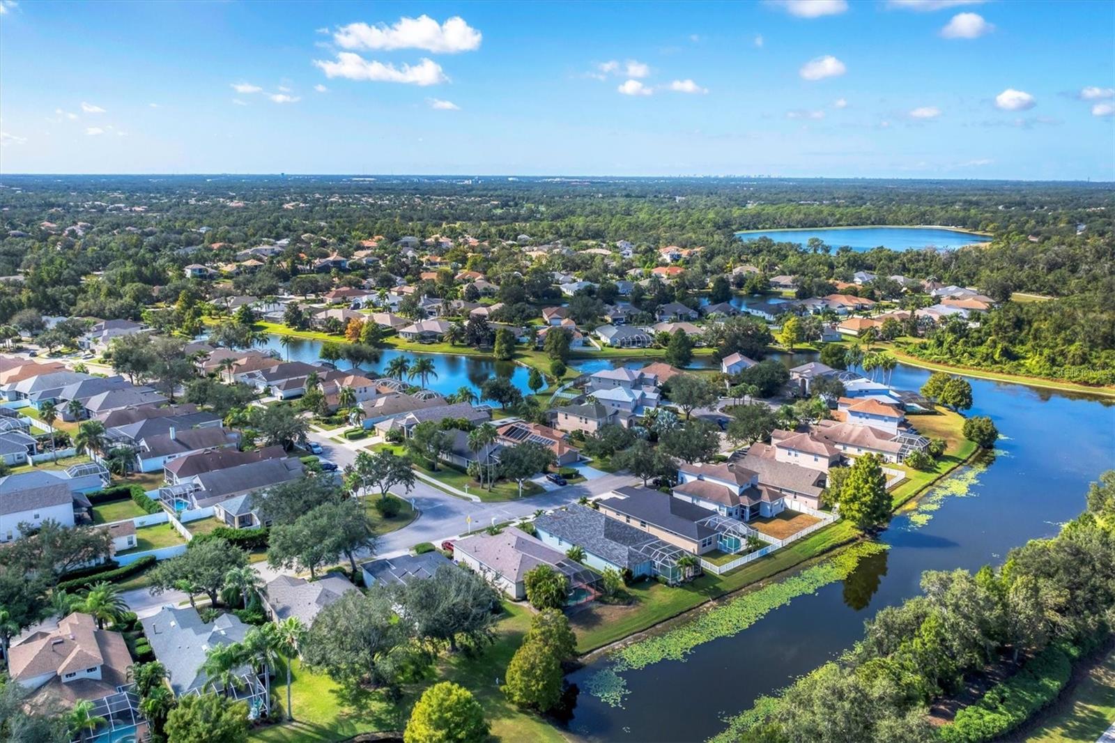 13527 GLOSSY IBIS PL