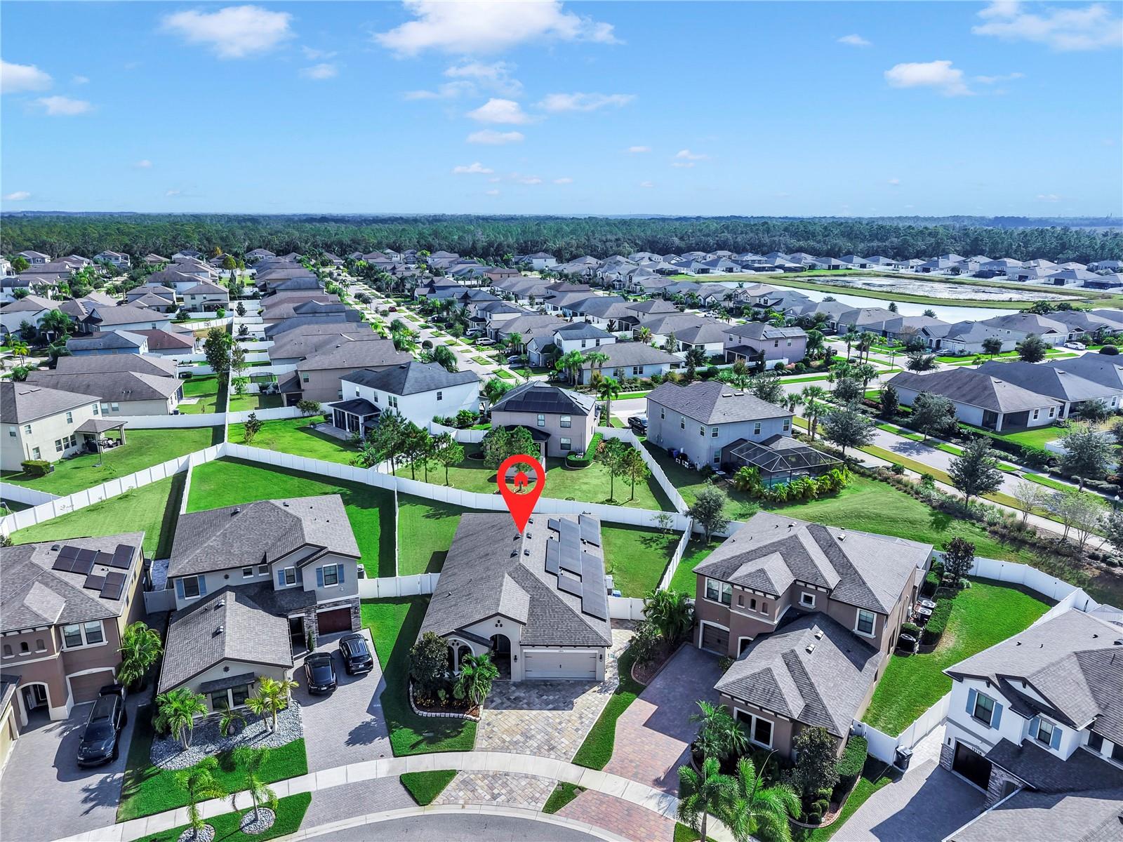 13114 FOXTAIL FERN DR