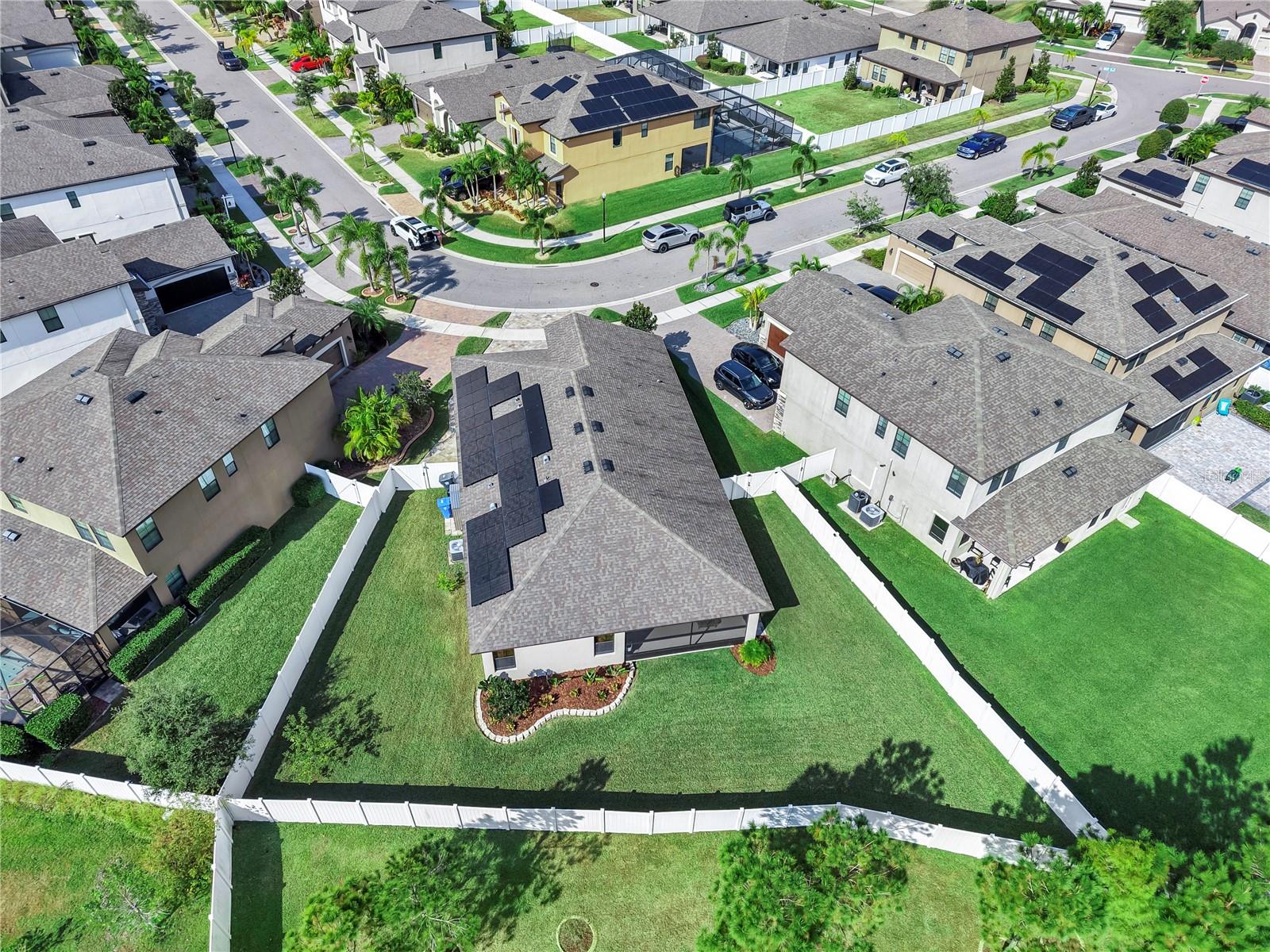 13114 FOXTAIL FERN DR