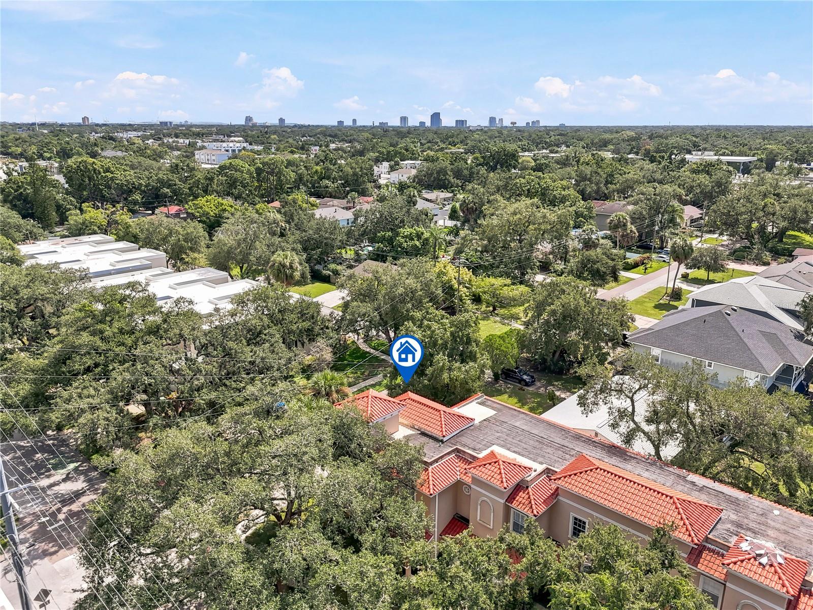 TAMPA