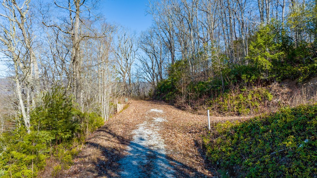 Lot 58 Hyacinth Court