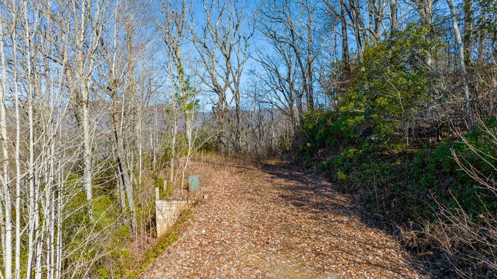 Lot 58 Hyacinth Court