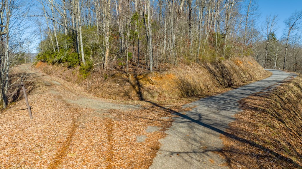 Lot 58 Hyacinth Court