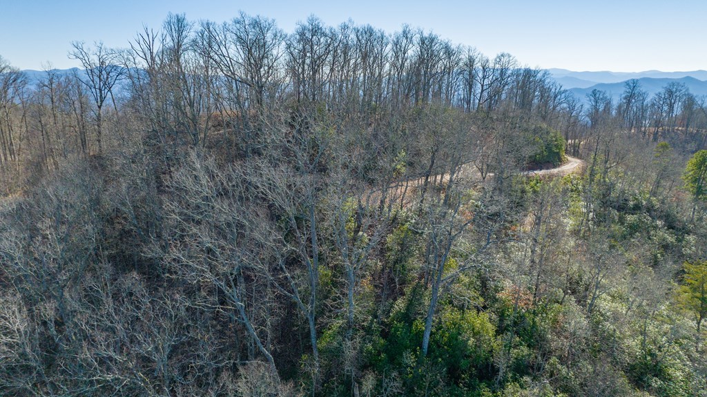 Lot 58 Hyacinth Court