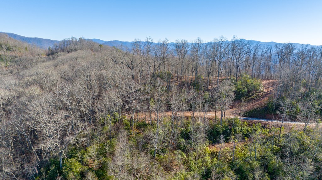 Lot 58 Hyacinth Court