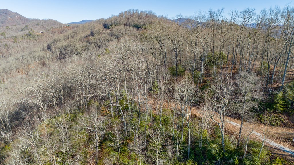 Lot 58 Hyacinth Court