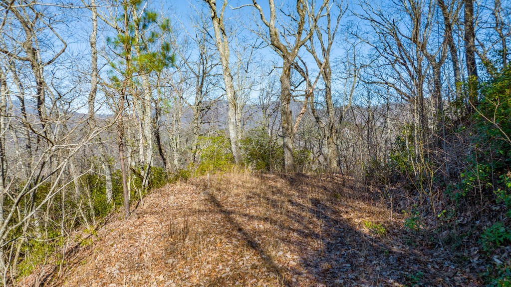Lot 58 Hyacinth Court