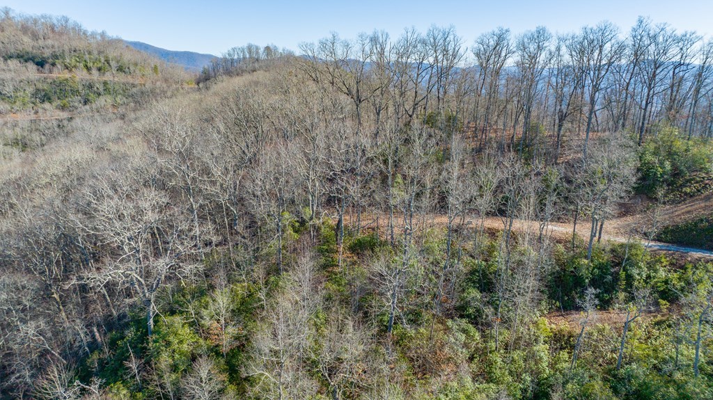 Lot 58 Hyacinth Court