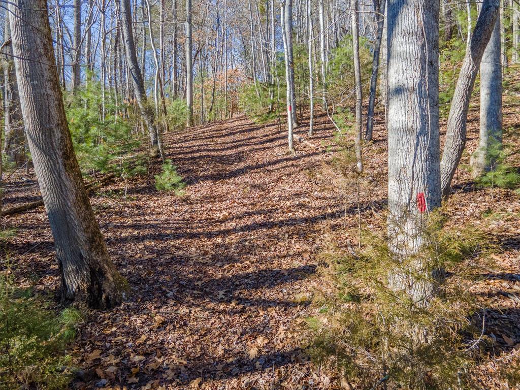 2857 Coweeta Lab Rd