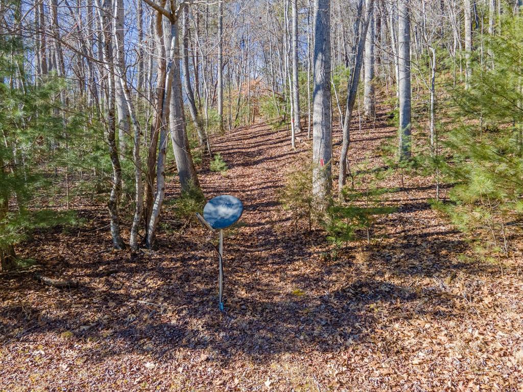 2857 Coweeta Lab Rd