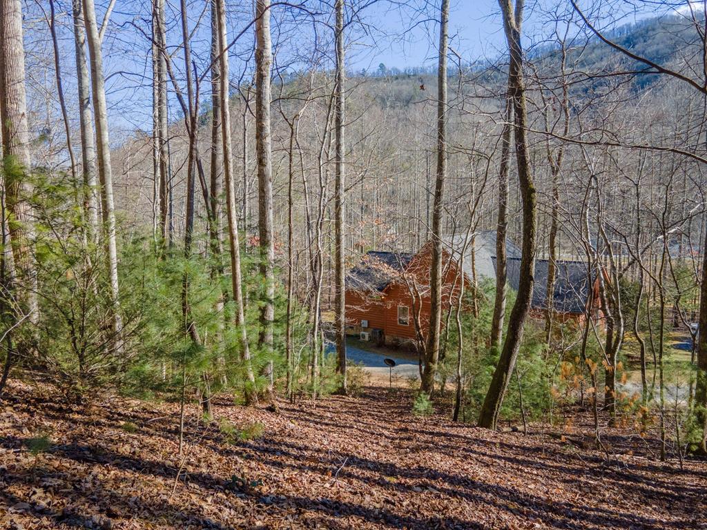 2857 Coweeta Lab Rd