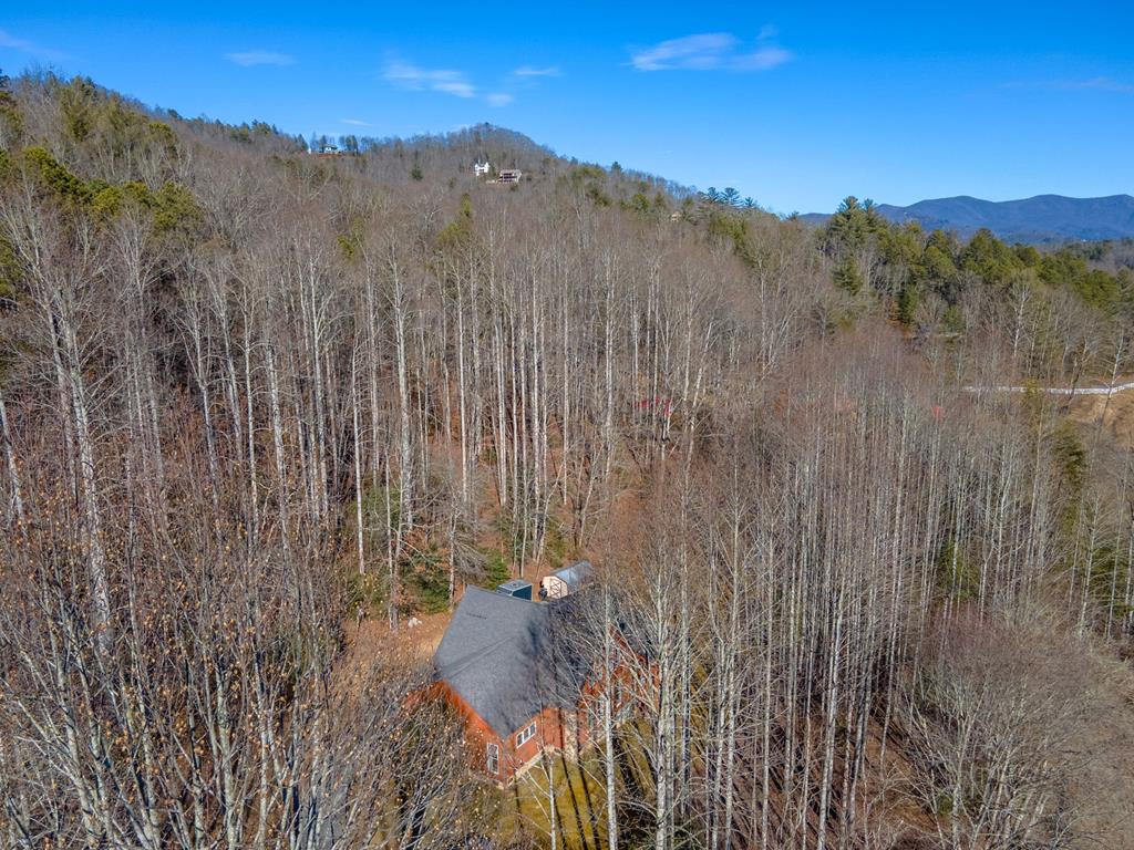 2857 Coweeta Lab Rd