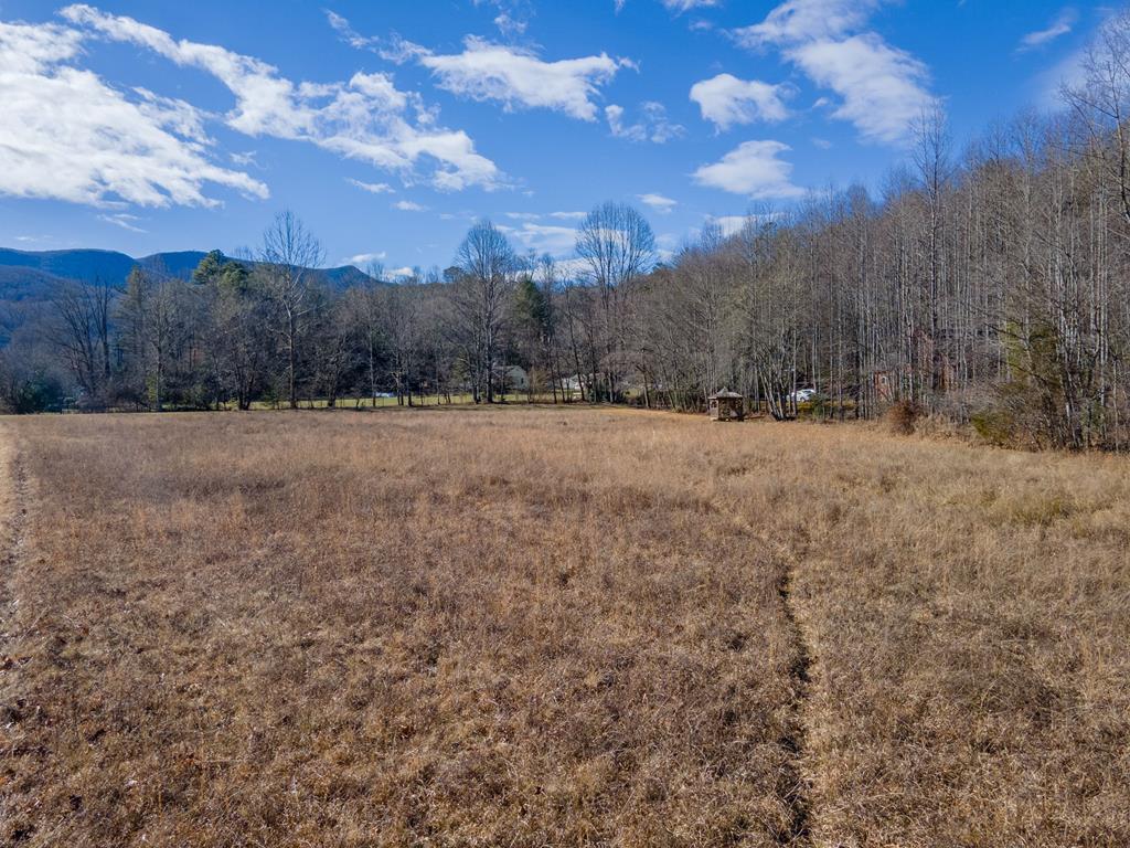2857 Coweeta Lab Rd