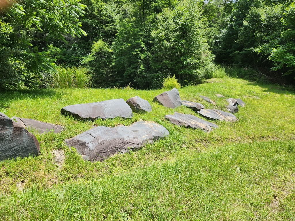 Lot 5&6 Grassy Branch Rd LOT 5 & 6