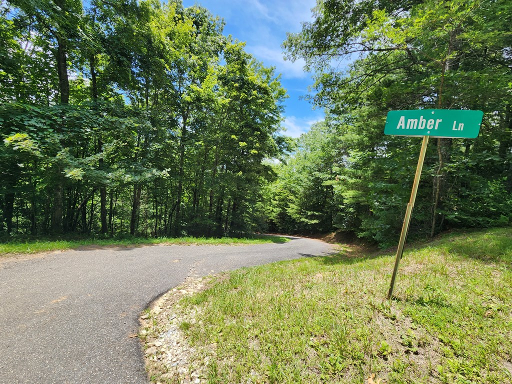 Lot 5&6 Grassy Branch Rd LOT 5 & 6