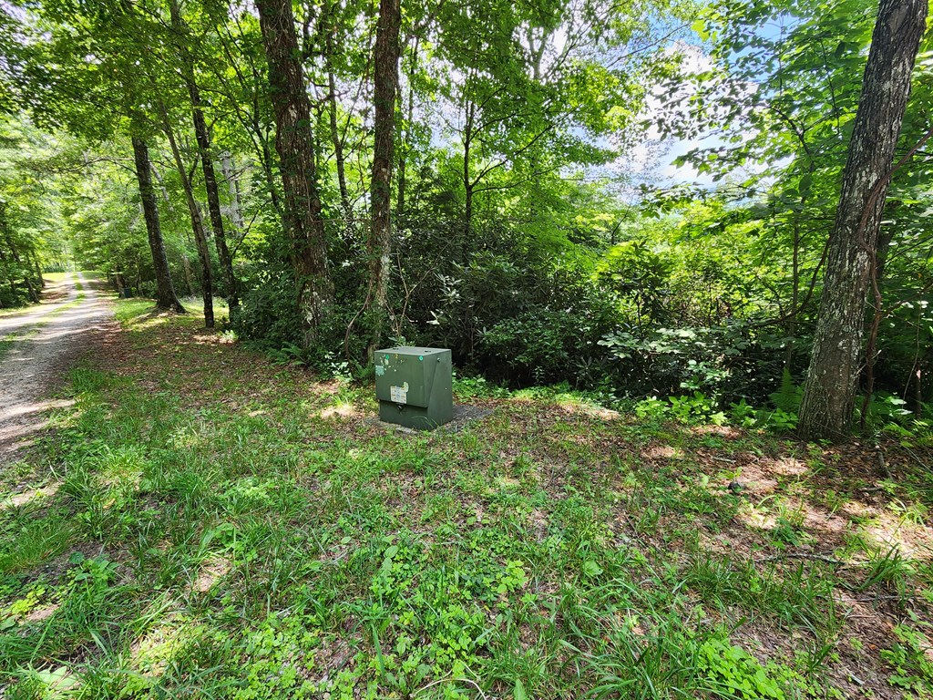 Lot 5&6 Grassy Branch Rd LOT 5 & 6