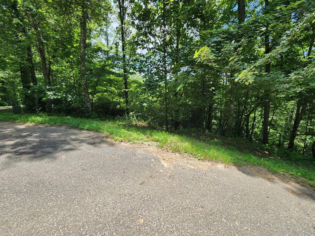 Lot 5&6 Grassy Branch Rd LOT 5 & 6